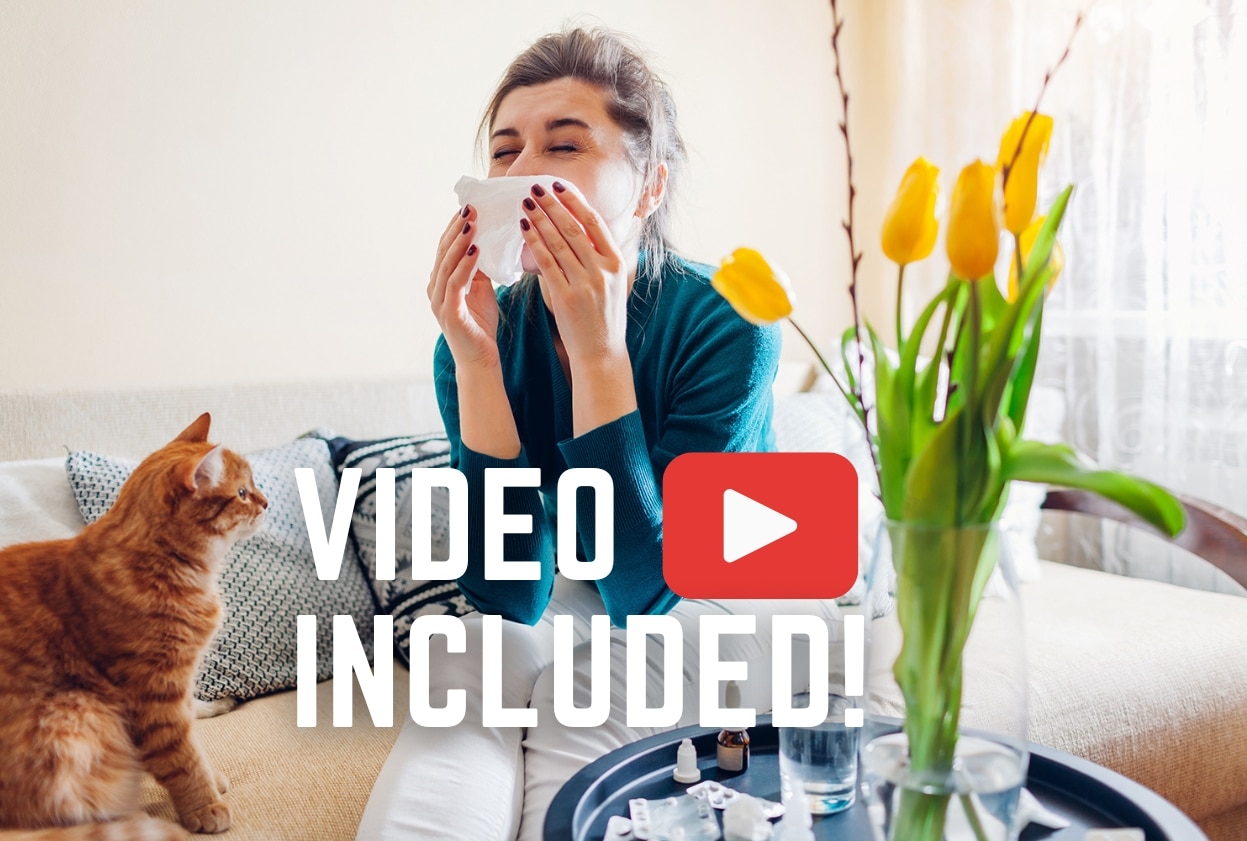 Spring allergy. Woman sneezing because of tulips flowers surrounded with pills and nasal drops sitting on sofa with cat at home. Seasonal allergy.