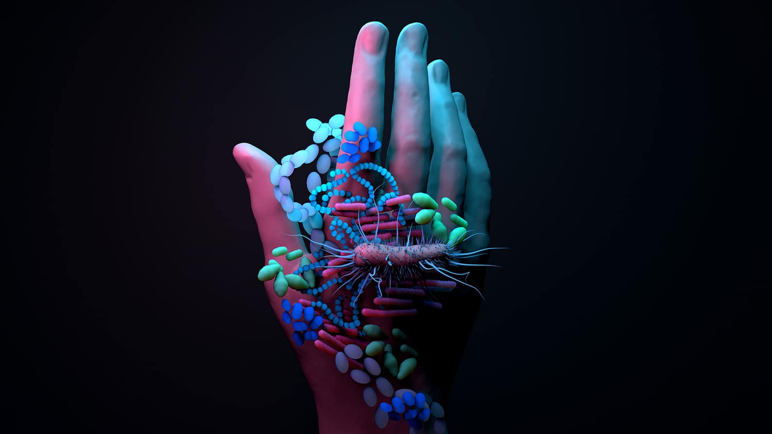 Bacteria on the hands, infections spread by hands, Washing your hands can prevent infections.