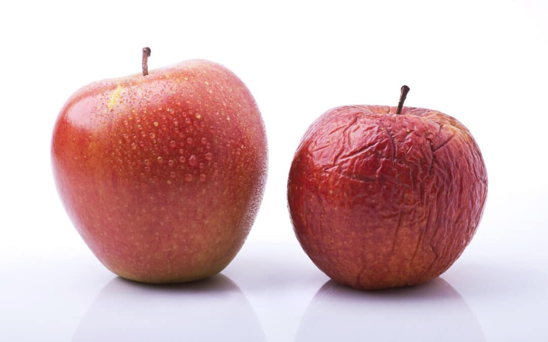 The Science Behind Aging Skin and How to Slow the Process