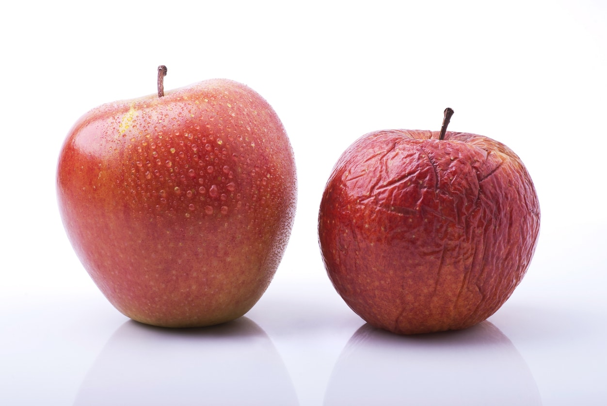 conceptual metaphor, the passing of time represented by two apples, one fresh, healthy and beautiful the other dried up by the past to also show aging skin